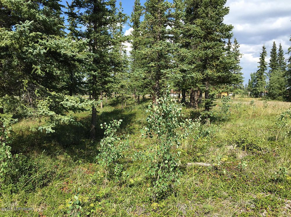Mi 124.7 Glenn Hwy: Glenn Hwy, Tok, AK 99780